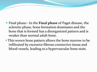  Final phase:- In the Final phase of Paget disease, the
sclerotic phase, bone formation dominates and the
bone that is formed has a disorganized pattern and is
weaker than normal adult bone.
• This woven bone pattern allows the bone marrow to be
infiltrated by excessive fibrous connective tissue and
blood vessels, leading to a hypervascular bone state.
 