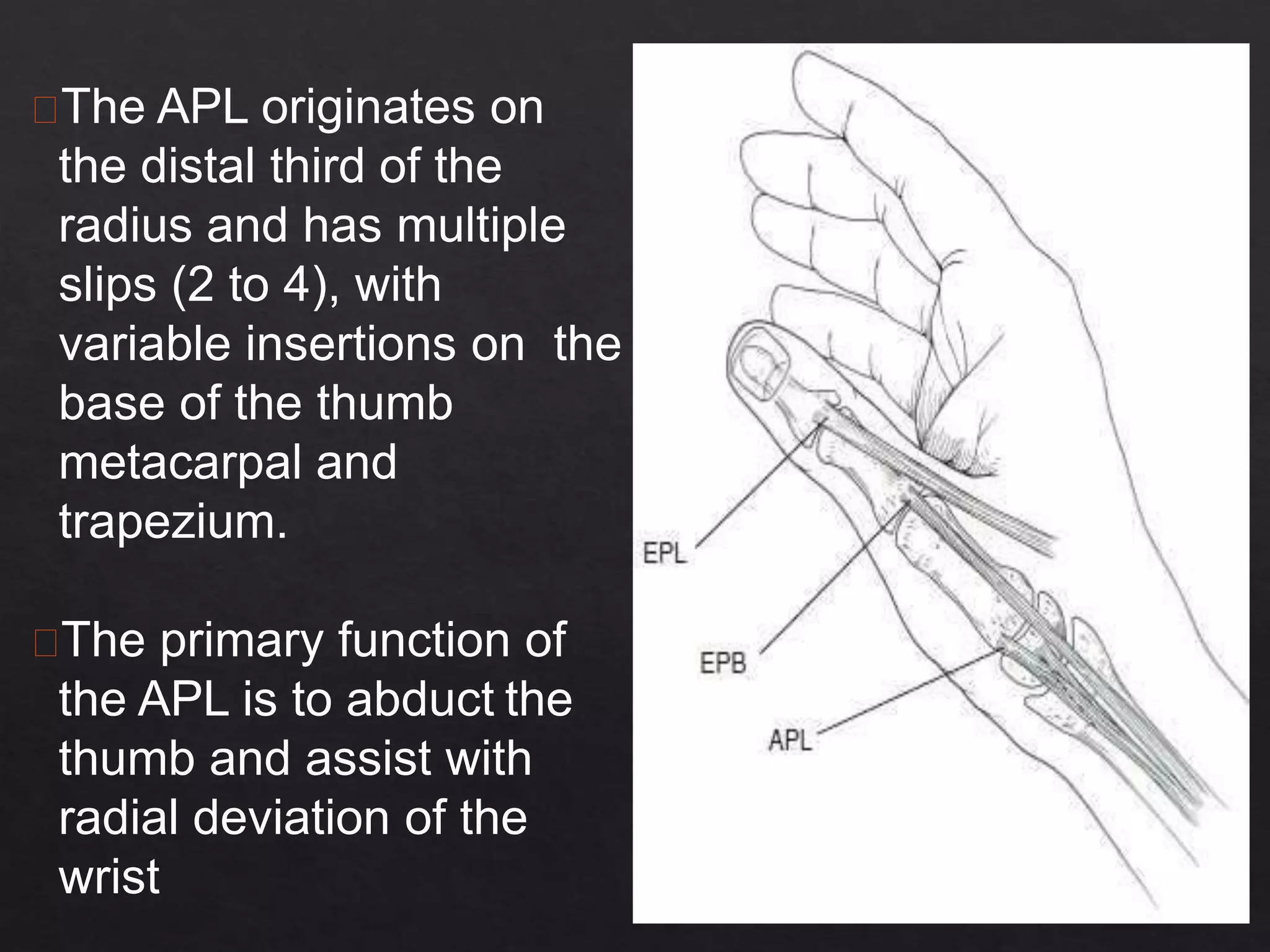 Misc. affections of soft tissue | PPTX