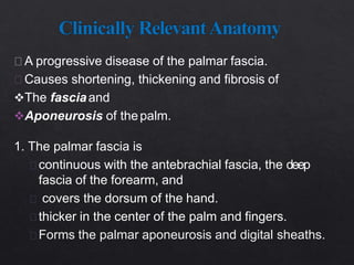 A progressive disease of the palmar fascia.
Causes shortening, thickening and fibrosis of
The fasciaand
Aponeurosis of thepalm.
1. The palmar fascia is
continuous with the antebrachial fascia, the deep
fascia of the forearm, and
covers the dorsum of the hand.
thicker in the center of the palm and fingers.
Forms the palmar aponeurosis and digital sheaths.
 