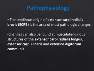 Pathophysiology
• The tendinous origin of extensor carpi radialis
brevis (ECRB) is the area of most pathologic changes.
-Changes can also be found at musculotendinous
structures of the extensor carpi radialis longus,
extensor carpi ulnaris and extensor digitorum
communis.
 