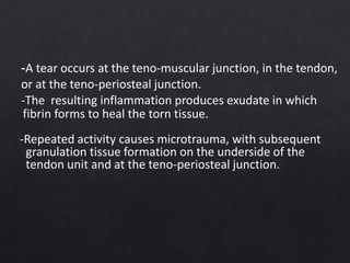-A tear occurs at the teno-muscular junction, in the tendon,
or at the teno-periosteal junction.
-The resulting inflammation produces exudate in which
fibrin forms to heal the torn tissue.
-Repeated activity causes microtrauma, with subsequent
granulation tissue formation on the underside of the
tendon unit and at the teno-periosteal junction.
 