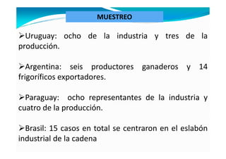 MUESTREO

  Uruguay: ocho de la industria y tres de la
producción.

   Argentina: seis productores ganaderos y 14
frigoríficos exportadores.

  Paraguay: ocho representantes de la industria y
cuatro de la producción.

  Brasil: 15 casos en total se centraron en el eslabón
industrial de la cadena
 
