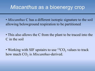 Miscanthus as a bioenergy crop
• Miscanthus C has a different isotopic signature to the soil
allowing belowground respiration to be partitioned
• This also allows the C from the plant to be traced into the
C in the soil
• Working with SIF upstairs to use 13CO2 values to track
how much CO2 is Miscanthus-derived.
 
