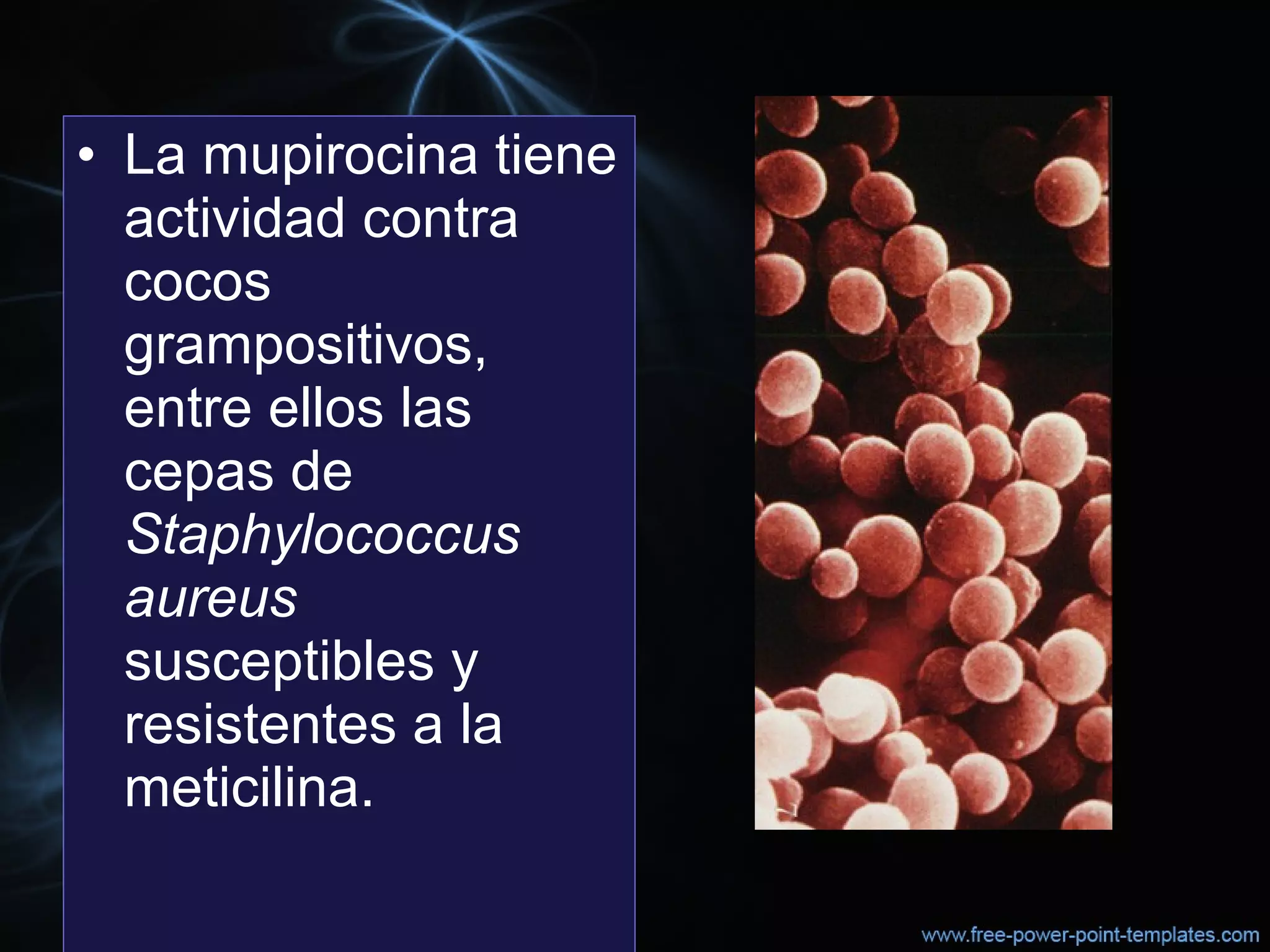 • La mupirocina tiene 
actividad contra 
cocos 
grampositivos, 
entre ellos las 
cepas de 
Staphylococcus
aureus
susceptibles y 
resistentes a la 
meticilina. 
 