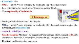 • Excretion:- Bile
• MOA:- Inhibit Protein synthesis by binding to 50S ribosomal subunit
• Less potent & higher incidence of Diarrhoea, colitis, Death
• Thus replaced by Clindamycin
• Semi-synthetic derivative of Lincomycin
• MOA:- Inhibit Protein synthesis by binding to 50S ribosomal subunit similar like
Erythromycin (Bacteriostatic)
• Anti-microbial Spectrum:-
• Sensitive against Most gm+ ve cocci like Pneumococci, Staph.(Except MRSA) C.
diphtheriae, Nocardia, Actinomyces, Plasmodial sp., toxoplasma gondii
• Resistant to -Gm-negative anaerobes
Clindamycin
 