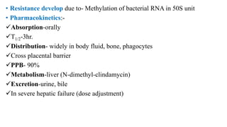 • Resistance develop due to- Methylation of bacterial RNA in 50S unit
• Pharmacokinetics:-
Absorption-orally
T1/2-3hr.
Distribution- widely in body fluid, bone, phagocytes
Cross placental barrier
PPB- 90%
Metabolism-liver (N-dimethyl-clindamycin)
Excretion-urine, bile
In severe hepatic failure (dose adjustment)
 