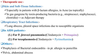 • Therapeutic use:-
Skin and Soft-Tissue Infections:-
Especially in patients with β-lactam allergies, in Acne (as topically)
In gas gangrene by toxin-producing bacteria (e.g., streptococci, staphylococci,
clostridia)→ as Adjuvant therapy
Respiratory Tract Infections:-
Lung abscess, pleural space infections due to susceptible organisms
In AIDS patients:-
(1.) For P. jiroveci pneumonia-(Clindamycin + Primaquine)
(2.) For toxoplasmosis-(Clindamycin + Pyrimethamine)
Others:-
Prophylaxis of Bacterial endocarditis –in pt. allergic to penicillin
Pelvic, abdominal abscess
 