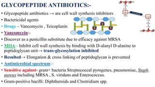 GLYCOPEPTIDE ANTIBIOTICS:-
• Glycopeptide antibiotics → are cell wall synthesis inhibitors
• Bactericidal agents
• Drugs – Vancomycin , Teicoplanin
• Vancomycin:-
• Discover as a penicillin substitute due to efficacy against MRSA
• MOA:- Inhibit cell wall synthesis by binding with D-alanyl D-alanine to
peptidoglycan unit→ trans-glycosylation inhibited
• Resulted→ Elongation & cross linking of peptidoglycan is prevented
• Antimicrobial spectrum:-
• Sensitive against- gram+ bacteria Streptococcal pyrogenes, pneumoniae, Staph.
aureus including MRSA , S. viridans and Enterococcus.
• Gram-positive bacilli: Diphtheroids and Clostridium spp.
 