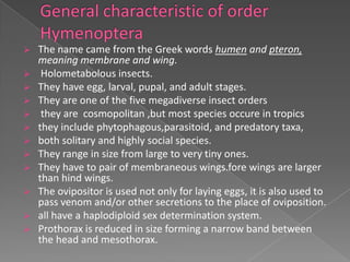    The name came from the Greek words humen and pteron,
    meaning membrane and wing.
    Holometabolous insects.
   T...