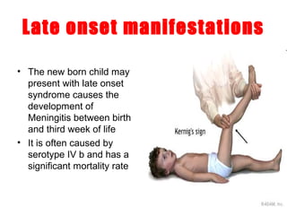 Late onset manifestations
• The new born child may
present with late onset
syndrome causes the
development of
Meningitis between birth
and third week of life
• It is often caused by
serotype IV b and has a
significant mortality rate
 