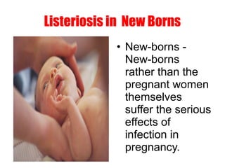 Listeriosis in New Borns
• New-borns -
New-borns
rather than the
pregnant women
themselves
suffer the serious
effects of
infection in
pregnancy.
 