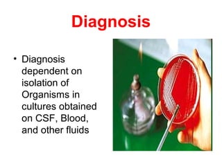 Diagnosis
• Diagnosis
dependent on
isolation of
Organisms in
cultures obtained
on CSF, Blood,
and other fluids
 