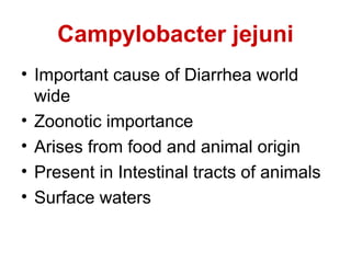 Campylobacter jejuni
• Important cause of Diarrhea world
wide
• Zoonotic importance
• Arises from food and animal origin
• Present in Intestinal tracts of animals
• Surface waters
 