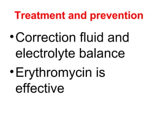 Treatment and prevention
•Correction fluid and
electrolyte balance
•Erythromycin is
effective
 
