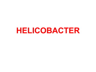 HELICOBACTER
 