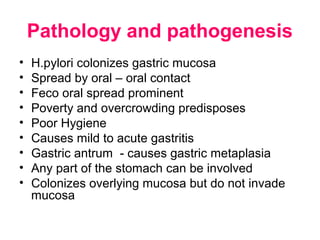 Pathology and pathogenesis
• H.pylori colonizes gastric mucosa
• Spread by oral – oral contact
• Feco oral spread prominent
• Poverty and overcrowding predisposes
• Poor Hygiene
• Causes mild to acute gastritis
• Gastric antrum - causes gastric metaplasia
• Any part of the stomach can be involved
• Colonizes overlying mucosa but do not invade
mucosa
 