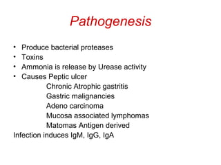 Pathogenesis
• Produce bacterial proteases
• Toxins
• Ammonia is release by Urease activity
• Causes Peptic ulcer
Chronic Atrophic gastritis
Gastric malignancies
Adeno carcinoma
Mucosa associated lymphomas
Matomas Antigen derived
Infection induces IgM, IgG, IgA
 