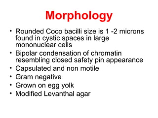 Morphology
• Rounded Coco bacilli size is 1 -2 microns
found in cystic spaces in large
mononuclear cells
• Bipolar condensation of chromatin
resembling closed safety pin appearance
• Capsulated and non motile
• Gram negative
• Grown on egg yolk
• Modified Levanthal agar
 