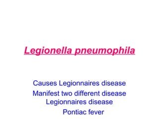 Legionella pneumophila
Causes Legionnaires disease
Manifest two different disease
Legionnaires disease
Pontiac fever
 