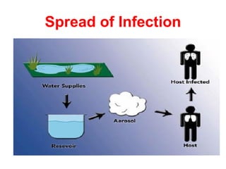 Spread of Infection
 