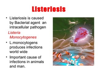 Listeriosis
• Listeriosis is caused
by Bacterial agent an
intracellular pathogen
Listeria
Monocytogenes
• L.monocytogens
produces infections
world wide
• Important cause of
infections in animals
and man.
 