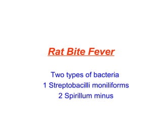 Rat Bite Fever
Two types of bacteria
1 Streptobacilli moniliforms
2 Spirillum minus
 