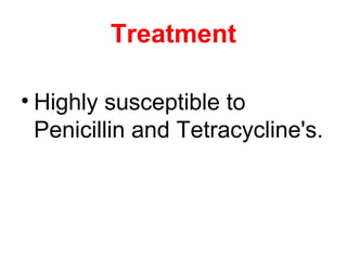 Treatment
• Highly susceptible to
Penicillin and Tetracycline's.
 