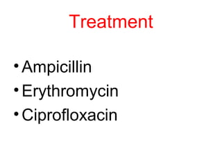 Treatment
•Ampicillin
•Erythromycin
•Ciprofloxacin
 