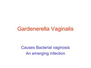 Gardenerella Vaginalis
Causes Bacterial vaginosis
An emerging infection
 