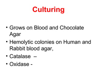 Culturing
• Grows on Blood and Chocolate
Agar
• Hemolytic colonies on Human and
Rabbit blood agar,
• Catalase –
• Oxidase -
 