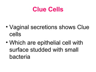 Clue Cells
• Vaginal secretions shows Clue
cells
• Which are epithelial cell with
surface studded with small
bacteria
 