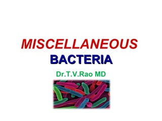 MISCELLANEOUS
BACTERIABACTERIA
Dr.T.V.Rao MD
 