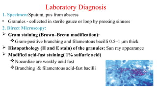 Miscellaneous Bacterial Infections of Skin and Soft-tissues.pptx