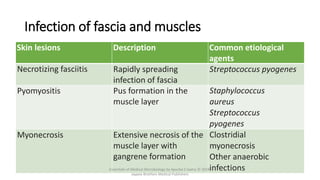 Infection of fascia and muscles
Skin lesions Description Common etiological
agents
Necrotizing fasciitis Rapidly spreading
infection of fascia
Streptococcus pyogenes
Pyomyositis Pus formation in the
muscle layer
Staphylococcus
aureus
Streptococcus
pyogenes
Myonecrosis Extensive necrosis of the
muscle layer with
gangrene formation
Clostridial
myonecrosis
Other anaerobic
infections
Essentials of Medical Microbiology by Apurba S Sastry © 2018,
Jaypee Brothers Medical Publishers
 
