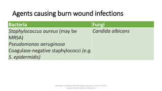 Agents causing burn wound infections
Bacteria Fungi
Staphylococcus aureus (may be
MRSA)
Pseudomonas aeruginosa
Coagulase-negative staphylococci (e.g.
S. epidermidis)
Candida albicans
Essentials of Medical Microbiology by Apurba S Sastry © 2018,
Jaypee Brothers Medical Publishers
 