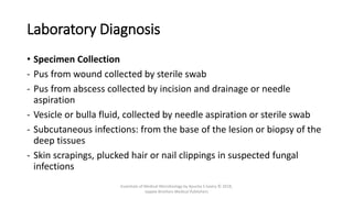 Laboratory Diagnosis
• Specimen Collection
- Pus from wound collected by sterile swab
- Pus from abscess collected by incision and drainage or needle
aspiration
- Vesicle or bulla fluid, collected by needle aspiration or sterile swab
- Subcutaneous infections: from the base of the lesion or biopsy of the
deep tissues
- Skin scrapings, plucked hair or nail clippings in suspected fungal
infections
Essentials of Medical Microbiology by Apurba S Sastry © 2018,
Jaypee Brothers Medical Publishers
 