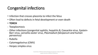 Congenital infections
• Infection that crosses placenta to infect the fetus
• Often lead to defects in fetal development or even death
• TORCH
- Toxoplasmosis
- Other infections (congenital syphilis, hepatitis B, Coxsackie virus, Epstein-
Barr virus, varicella-zoster virus, Plasmodium falciparum and human
parvovirus)
- Rubella
- Cytomegalovirus (CMV)
- Herpes simplex virus
Essentials of Medical Microbiology by Apurba S Sastry © 2018,
Jaypee Brothers Medical Publishers
 