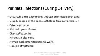 Perinatal Infections (During Delivery)
• Occur while the baby moves through an infected birth canal
• Usually caused by the agents of STIs or fecal contamination
- Cytomegalovirus
- Neisseria gonorrhoeae
- Chlamydia species
- Herpes simplex virus
- Human papilloma virus (genital warts)
- Group B streptococci
Essentials of Medical Microbiology by Apurba S Sastry © 2018,
Jaypee Brothers Medical Publishers
 