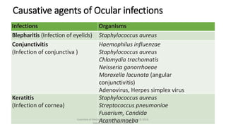 Causative agents of Ocular infections
Infections Organisms
Blepharitis (Infection of eyelids) Staphylococcus aureus
Conjunctivitis
(Infection of conjunctiva )
Haemophilus influenzae
Staphylococcus aureus
Chlamydia trachomatis
Neisseria gonorrhoeae
Moraxella lacunata (angular
conjunctivitis)
Adenovirus, Herpes simplex virus
Keratitis
(Infection of cornea)
Staphylococcus aureus
Streptococcus pneumoniae
Fusarium, Candida
Acanthamoeba
Essentials of Medical Microbiology by Apurba S Sastry © 2018,
Jaypee Brothers Medical Publishers
 