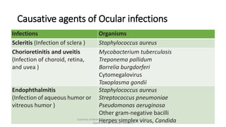 Causative agents of Ocular infections
Infections Organisms
Scleritis (Infection of sclera ) Staphylococcus aureus
Chorioretinitis and uveitis
(Infection of choroid, retina,
and uvea )
Mycobacterium tuberculosis
Treponema pallidum
Borrelia burgdorferi
Cytomegalovirus
Toxoplasma gondii
Endophthalmitis
(Infection of aqueous humor or
vitreous humor )
Staphylococcus aureus
Streptococcus pneumoniae
Pseudomonas aeruginosa
Other gram-negative bacilli
Herpes simplex virus, Candida
Essentials of Medical Microbiology by Apurba S Sastry © 2018,
Jaypee Brothers Medical Publishers
 