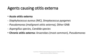Agents causing otitis externa
• Acute otitis externa
- Staphylococcus aureus (MC), Streptococcus pyogenes
- Pseudomonas (malignant otitis externa), Other GNB
- Aspergillus species, Candida species
• Chronic otitis externa: Anaerobes (most common), Pseudomonas
Essentials of Medical Microbiology by Apurba S Sastry © 2018,
Jaypee Brothers Medical Publishers
 