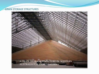 GRAIN STORAGE STRUCTURES 
A GRAIN STORAGE STRUCTURE IN WESTERN 
AUSTRALIA FOR STORING CORN 
 
