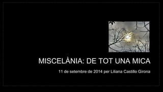 MISCELÀNIA: DE TOT UNA MICA 
11 de setembre de 2014 per Liliana Castillo Girona 
 