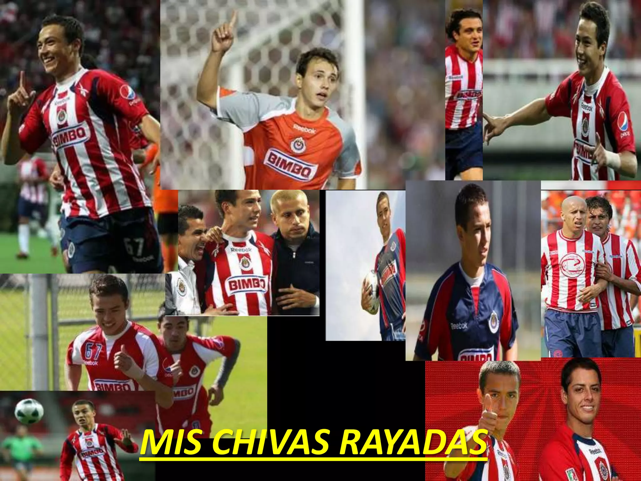 MIS CHIVAS RAYADAS