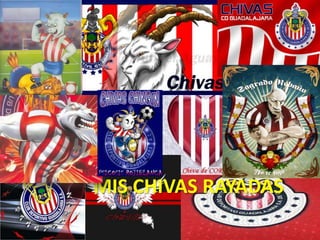 MIS CHIVAS RAYADAS 