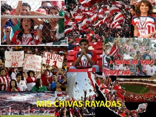MIS CHIVAS RAYADAS<br />