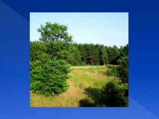 Environmental pollution