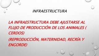 INFRAESTRUCTURA
LA INFRAESTRUCTURA DEBE AJUSTARSE AL
FLUJO DE PRODUCCIÓN DE LOS ANIMALES (
CERDOS)
(REPRODUCCIÓN, MATERNIDAD, RECRÍA Y
ENGORDE)
 