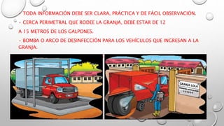 • TODA INFORMACIÓN DEBE SER CLARA, PRÁCTICA Y DE FÁCIL OBSERVACIÓN.
• CERCA PERIMETRAL QUE RODEE LA GRANJA, DEBE ESTAR DE 12
A 15 METROS DE LOS GALPONES.
• BOMBA O ARCO DE DESINFECCIÓN PARA LOS VEHÍCULOS QUE INGRESAN A LA
GRANJA.
LA ZONA EMBARQUE Y DESEMBARQUE DEBE ESTAR ALEJADA A 20 METROS DE LOS
GALPONES
 
