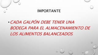 IMPORTANTE
•CADA GALPÓN DEBE TENER UNA
BODEGA PARA EL ALMACENAMIENTO DE
LOS ALIMENTOS BALANCEADOS.
 